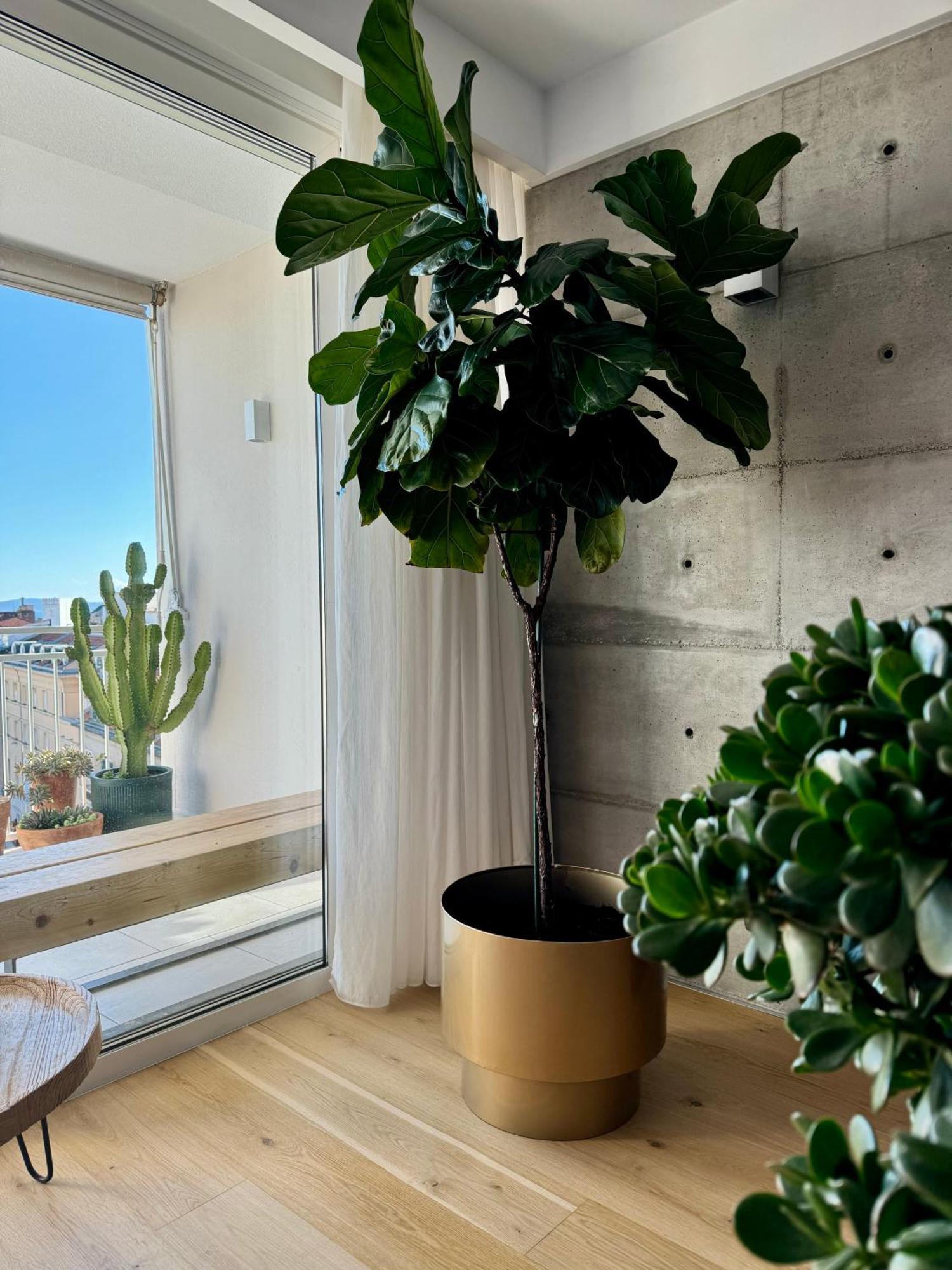 D'Art Penthouse Lejlighed Split Eksteriør billede